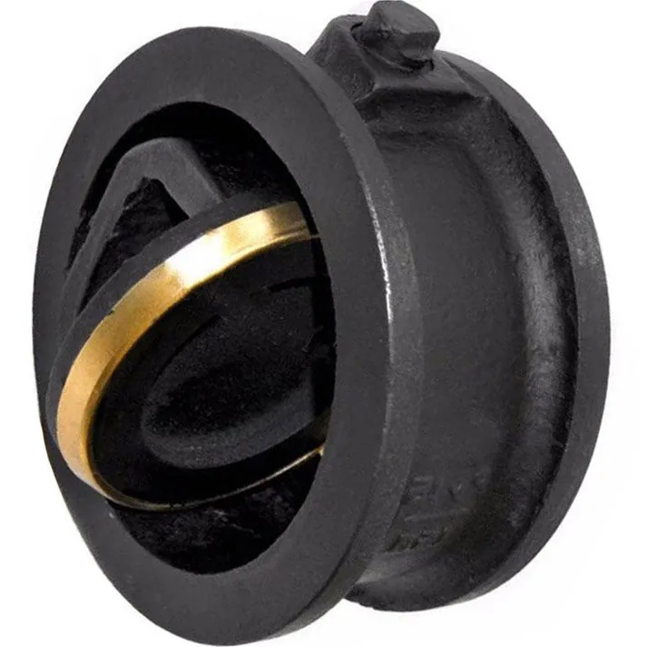 Клапан обратный межфланцевый 19ч21бр  Ду65  Ру 16